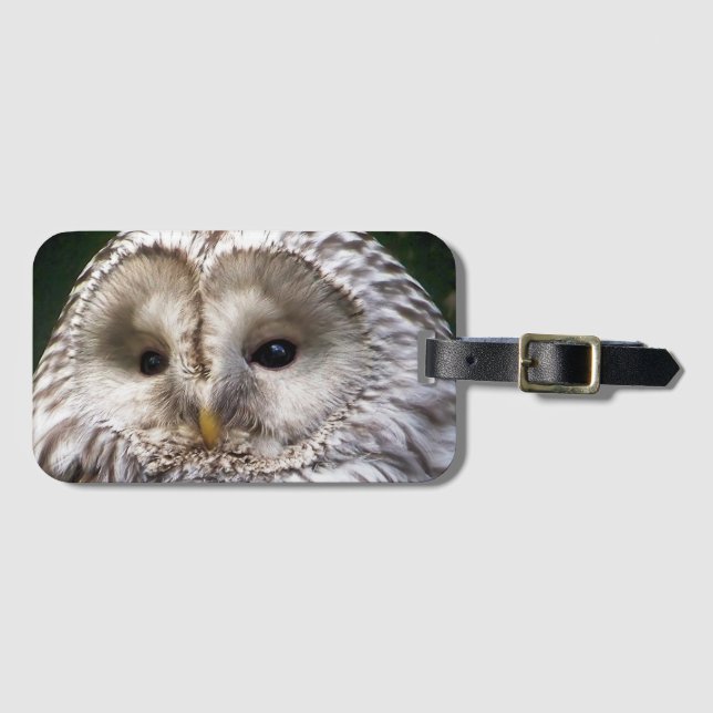 OWLS LUGGAGE TAG (Front Horizontal)