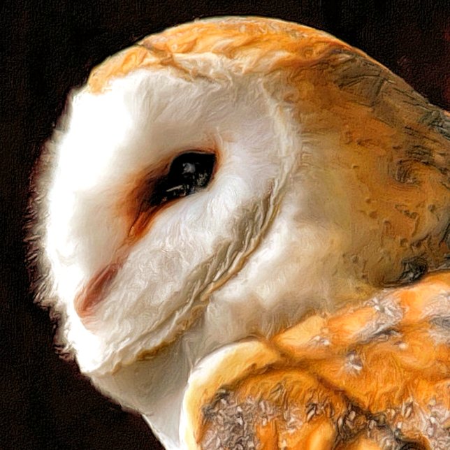 OWLS MAGNET (A beautiful soft artistic watercolor of a Barn Owl.)