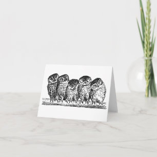 OWLS ON BRANCH NOTECARD