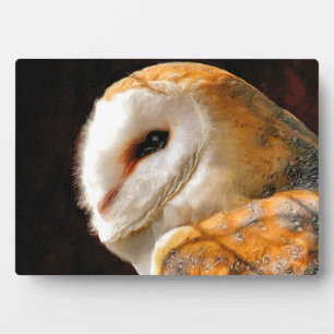 OWLS PLAQUE