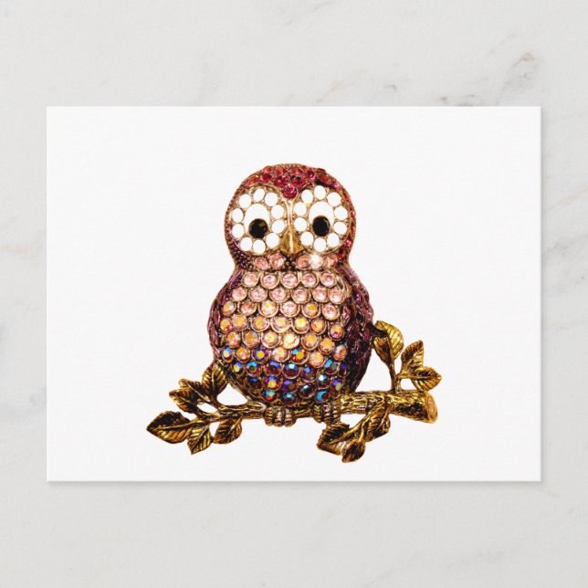 Owls Postcard (Front)