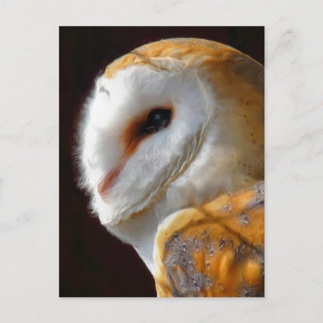 OWLS POSTCARD (Front)