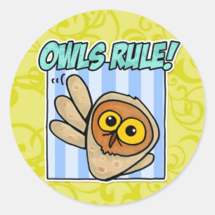 owls rule classic round sticker