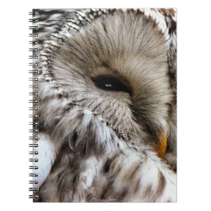 OWLS SPIRAL NOTEBOOK
