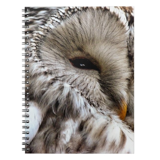 OWLS SPIRAL NOTEBOOK (Front)