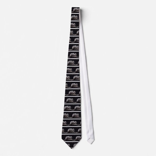 Owls Tie (Front)