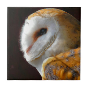 OWLS TILE