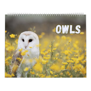Owls with Beautiful Nature and Forest Scenes Calendar