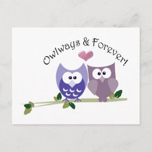 Owlways and Forever! Cute Owl design Postcard