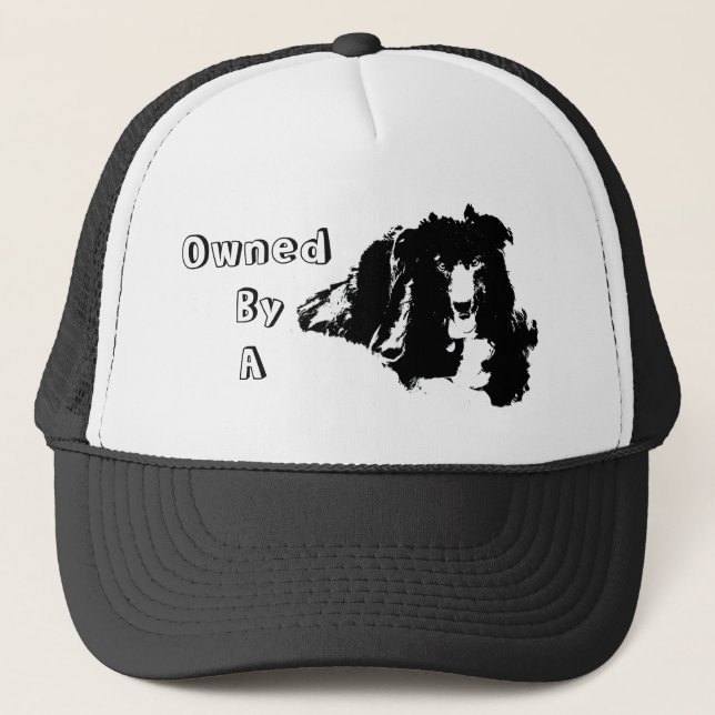 Owned By A Border Collie Funny Dog  Trucker Hat (Front)