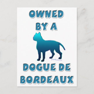 Owned by a Dogue de Bordeaux Postcard