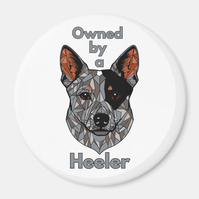 Owned by a Heeler (Blue) Magnet (Front)