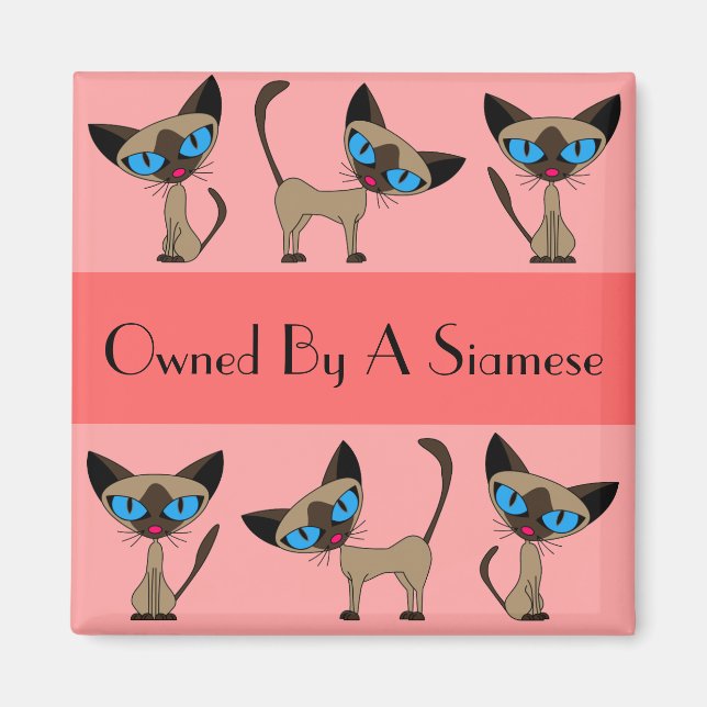 Owned By A Siamese Magnet (Front)