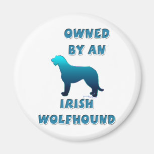 Owned by an Irish Wolfhound Magnet