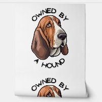 Owned by someone Basset Hound