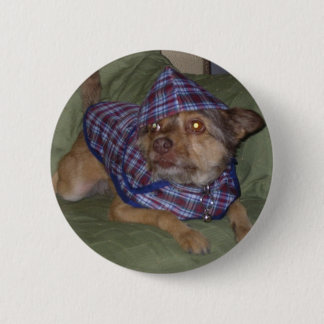 Owo's pets: Scooby 6 Cm Round Badge
