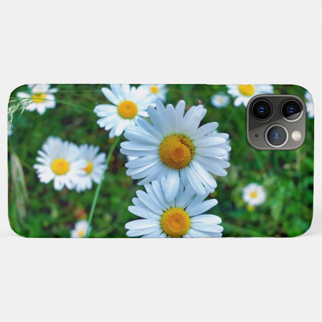Ox-Eye Daisies Case-Mate iPhone Case (Back (Horizontal))