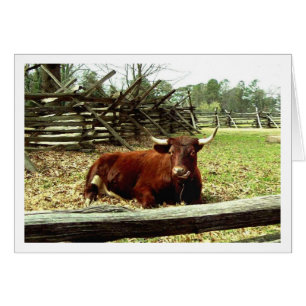 Ox in the Pasture