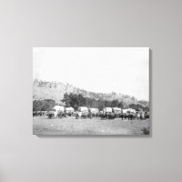 Ox Teams and Wagons in a Valley of the Black