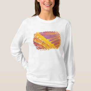 Oxalic Acid Crystals T-Shirt