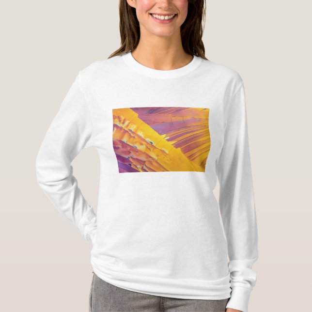 Oxalic Acid Crystals T-Shirt (Front)