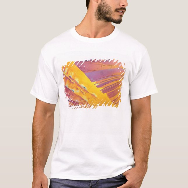 Oxalic Acid Crystals T-Shirt (Front)