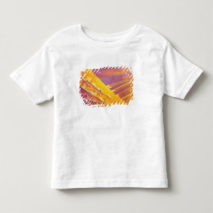 Oxalic Acid Crystals Toddler T-Shirt