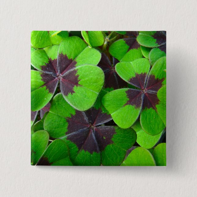 Oxalis Leaves - Red and Green 15 Cm Square Badge (Front)