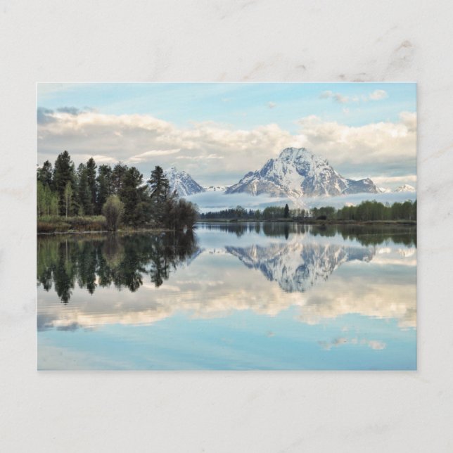 Oxbow Bend Reflection Postcard (Front)