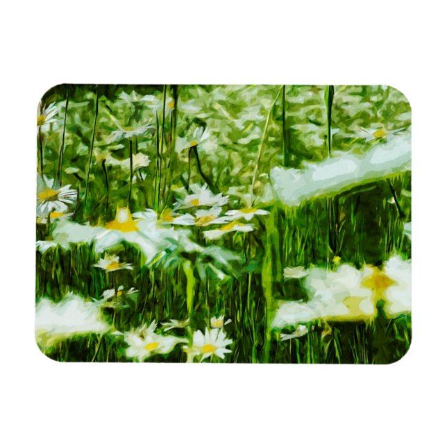 Oxeye Daisy Abstract Impressionism Magnet (Horizontal)