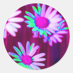 Oxeye Daisy Meadow Pop Art Style Classic Round Sticker