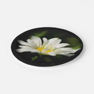 Oxeye Daisy Wildflower Paper Plate
