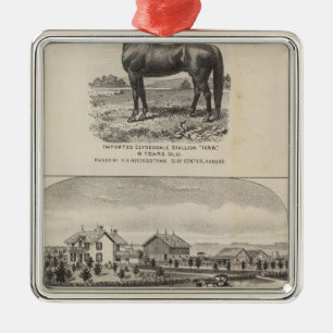 Oxford and Abilene Residences, Kansas Metal Tree Decoration