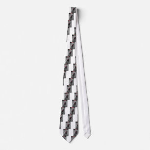 Oxford bike tie