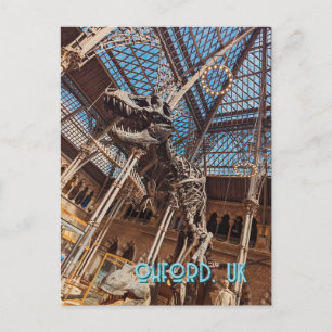 Oxford Natural History Museum Postcard T-Rex Dinos