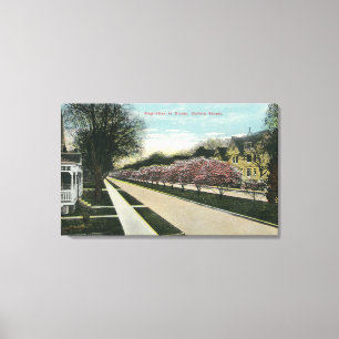 Oxford Street Magnolias in Bloom Canvas Print