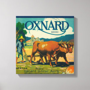 Oxnard Orange LabelOxnard, CA Canvas Print