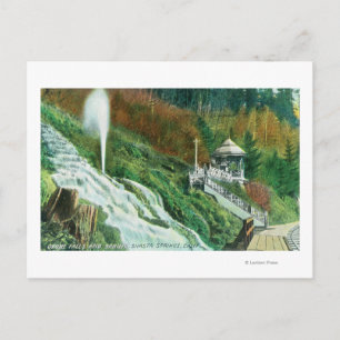 Oxone Falls and Spring ViewShasta Springs, CA Postcard