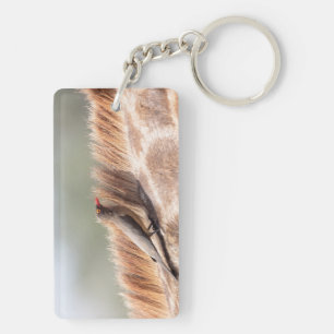 Oxpecker on a giraffe key ring