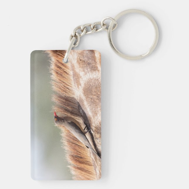 Oxpecker on a giraffe key ring (Back)