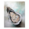 oyster and Pearl Beach Seafood Art Poster