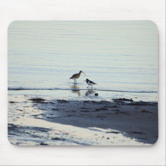 Oyster catcher and Curlew on a beach Mouse Pad