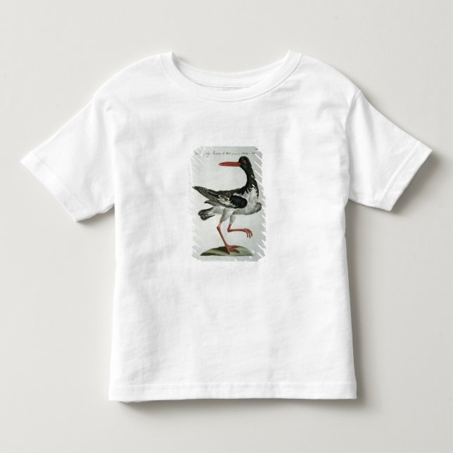 Oyster Catcher, c.1767-76 (hand coloured engraving Toddler T-Shirt (Front)