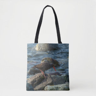 Oyster catcher tote bag