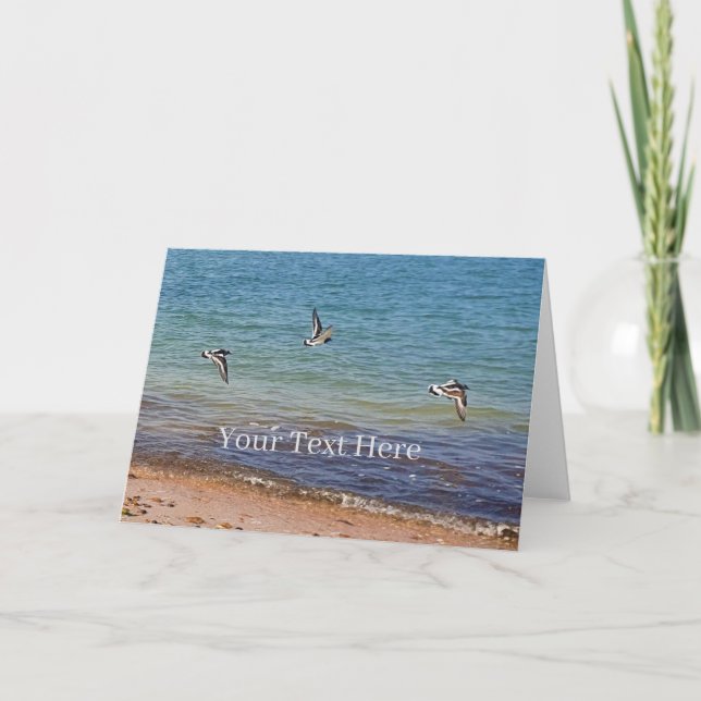 Oyster Catchers in Flight Personalised Card (Front)