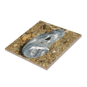 Oyster Shell in Pebble Sand Tile