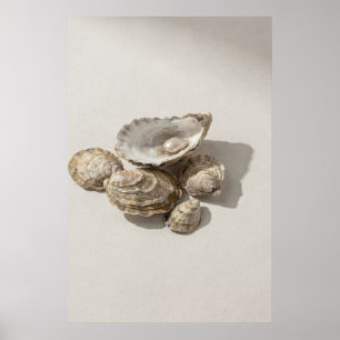 Oyster Shell Still Life with Pearl Poster