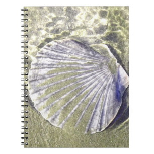 Oyster Shell Underwater Spiral Notebook