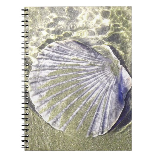 Oyster Shell Underwater Spiral Notebook (Front)