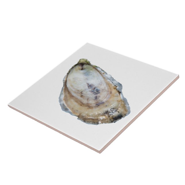 Oyster Tile - Design A White (Side)